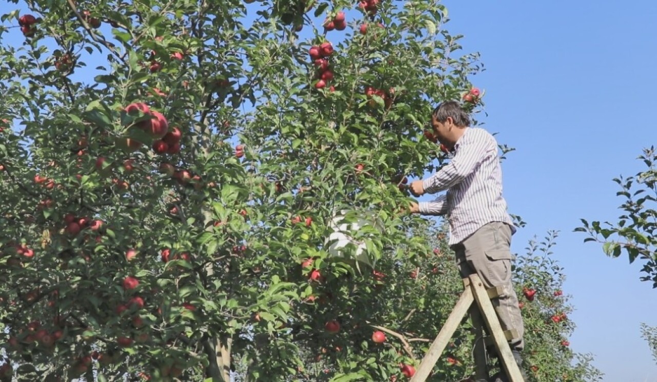 Bursalı çiftçilerden mülteci kamplarına TIR dolusu meyve