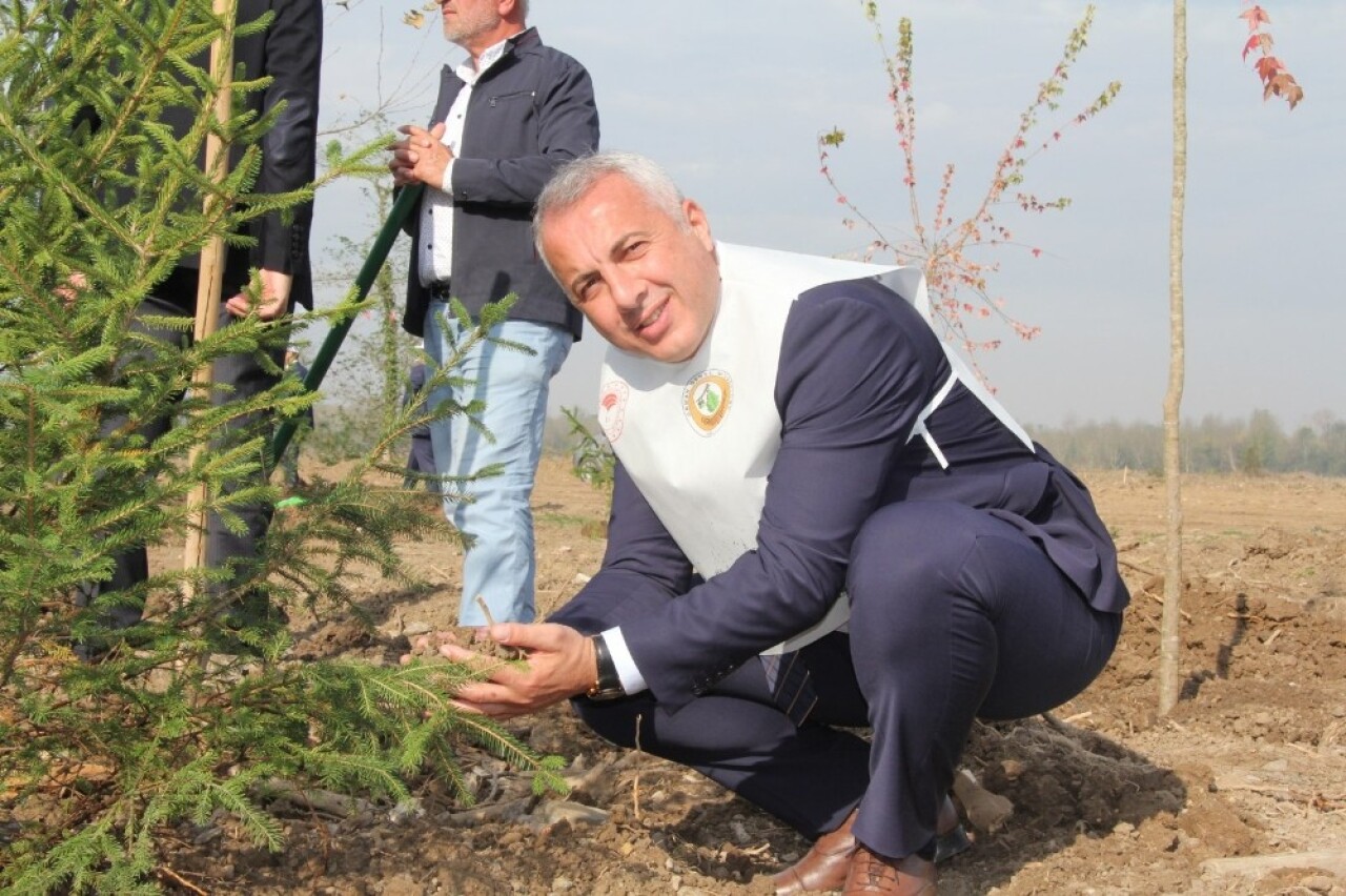 Hendek’te 12 bin 700 fidan toprakla buluştu