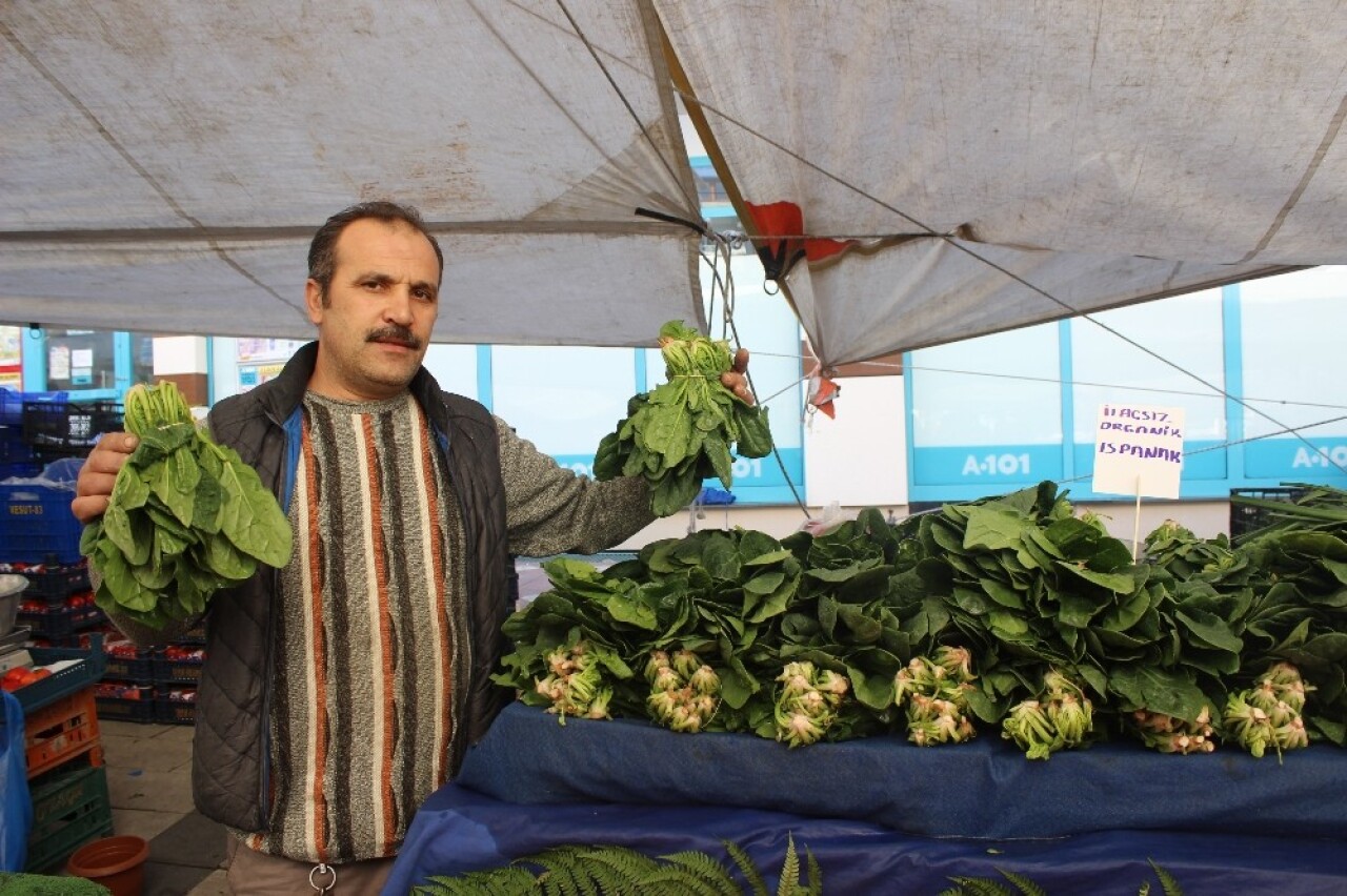 İstanbul’da ıspanaklar tezgahda kaldı