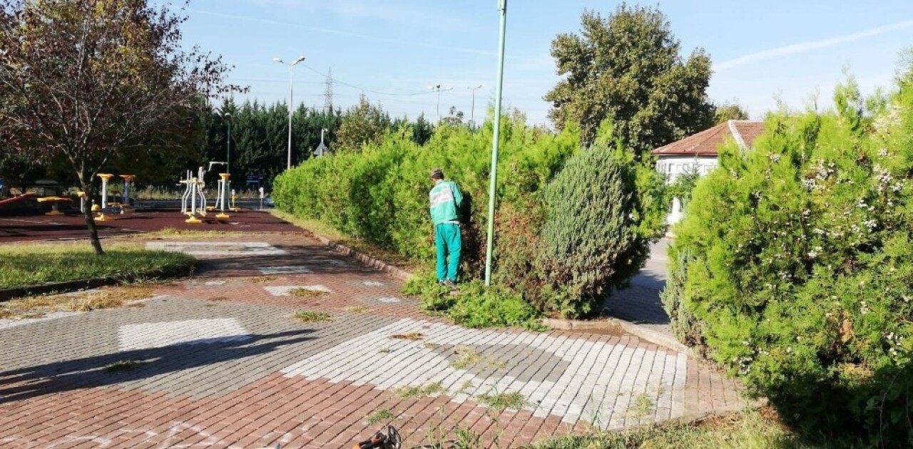 İzmit’te mevsimlik budama çalışmaları başladı