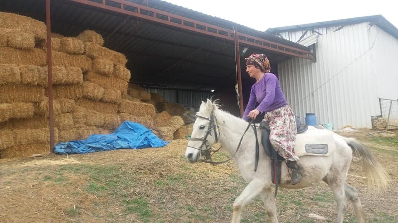 Kadın çoban iş başında