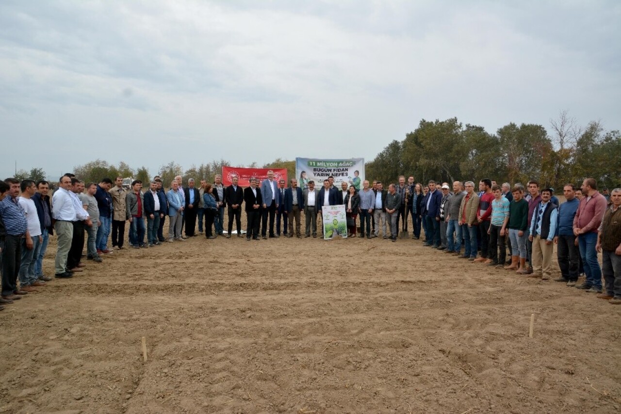 Karacabey meyve fidanı üssü oluyor