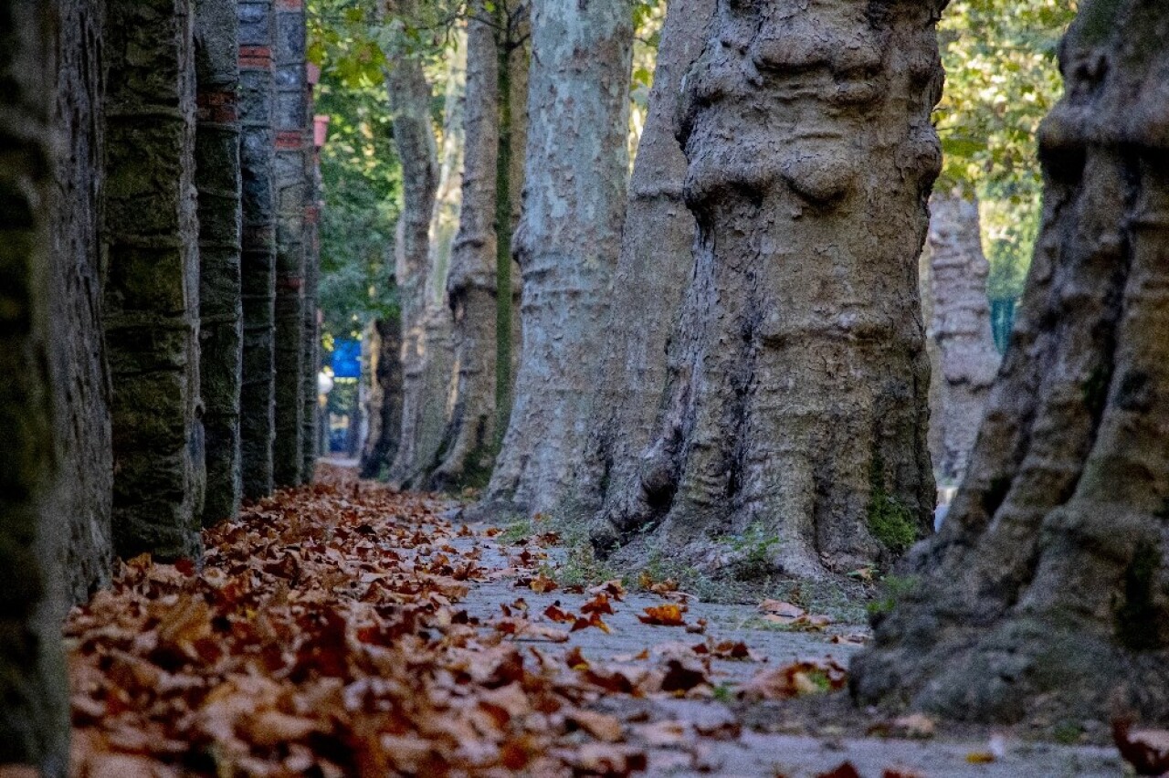 Kasımda Beykoz başka güzel