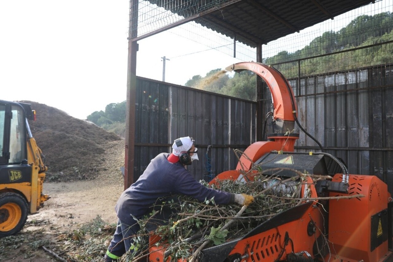 Körfez’de budanan dallar tekrar doğaya kazandırılıyor