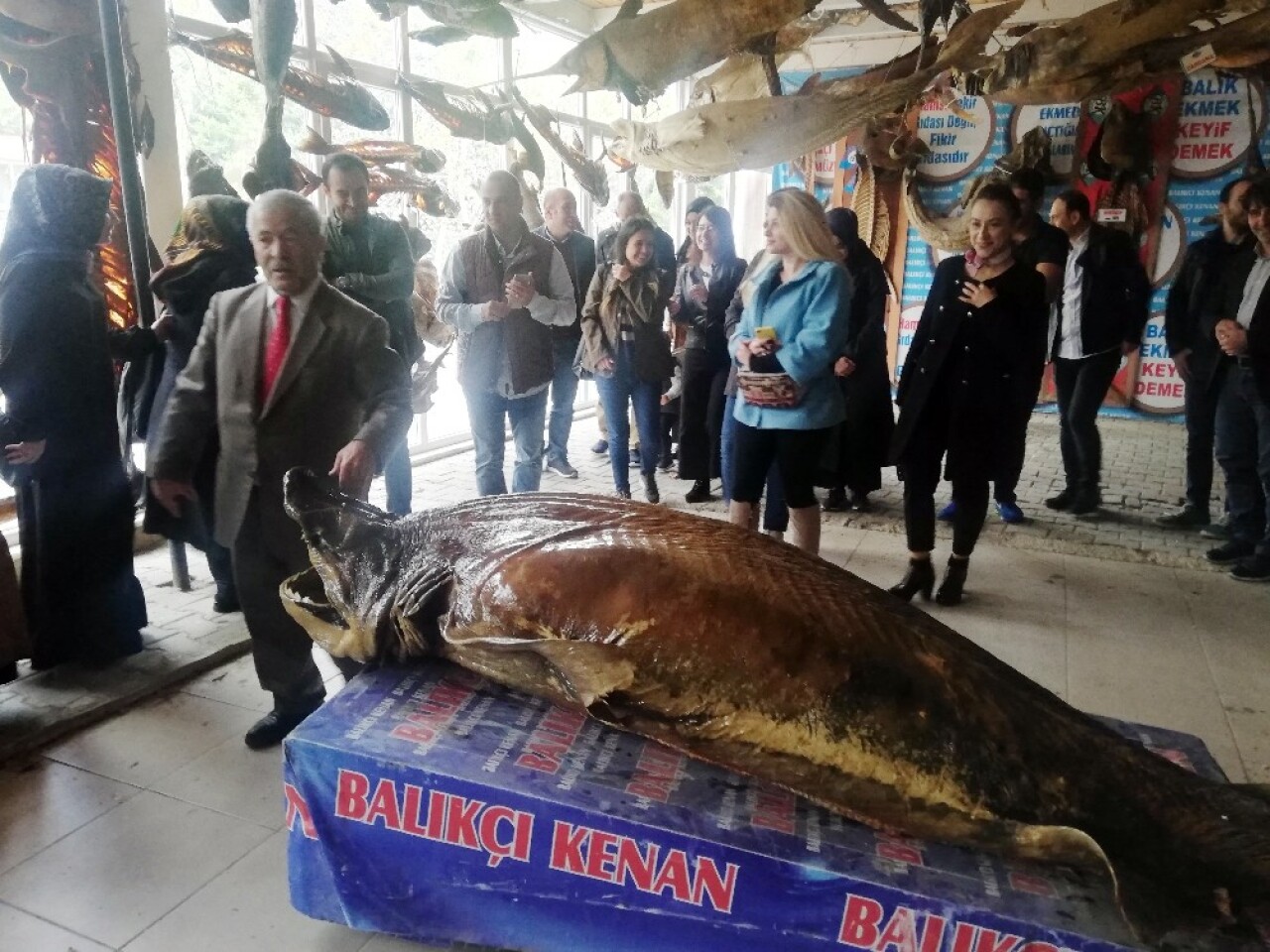 Öğretmenlere, Balon balığı tehlikesine karşı eğitim