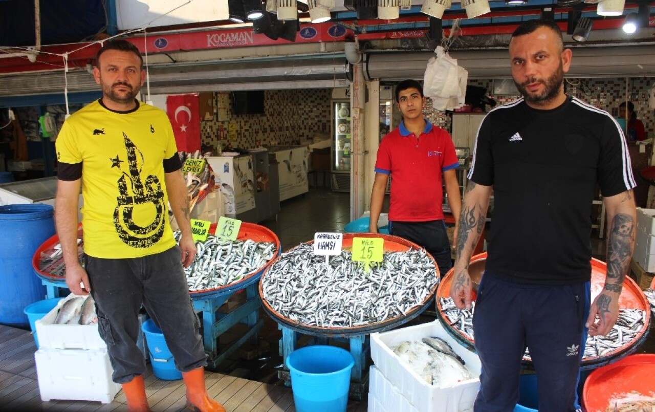 (Özel) Karadeniz hamsisi Marmara’yı hatırladı