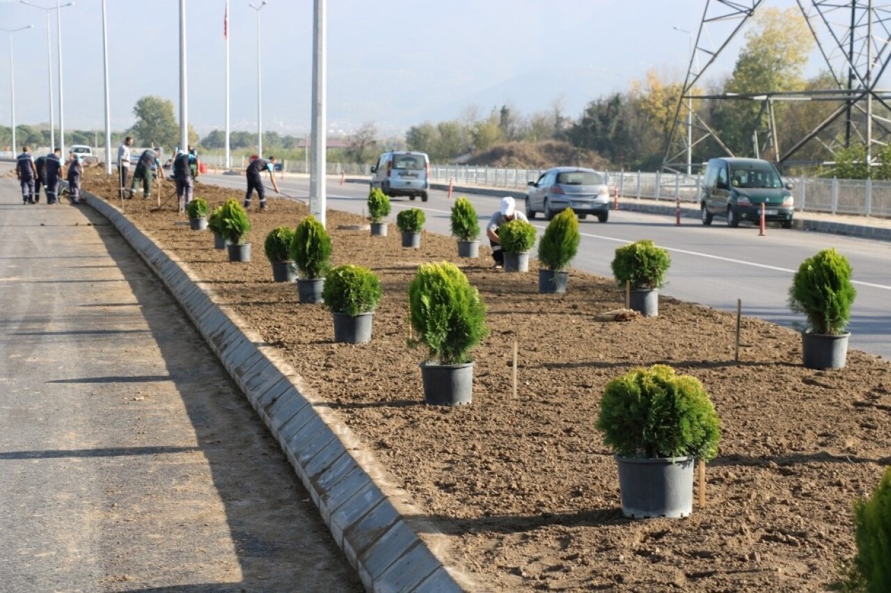 Salim Dervişoğlu Caddesi yeşillendirildi