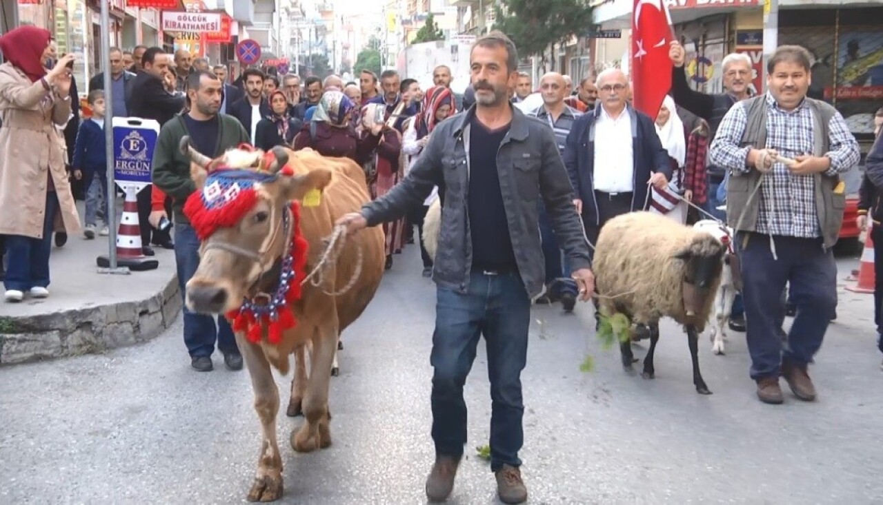 Yayla Şenliği geleneği yaşasın diye hayvanlarla caddelerde yürüdüler