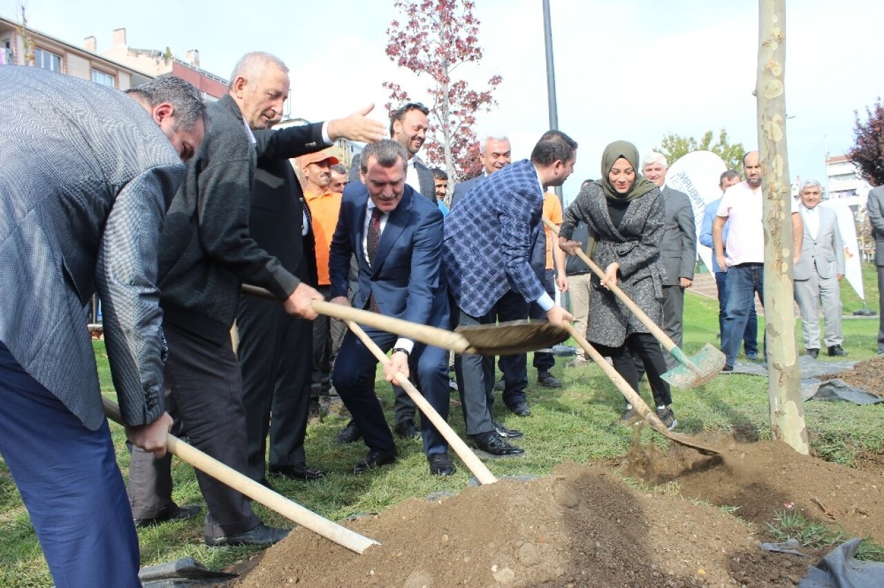 Zeytinburnu’nda ‘Geleceğe Nefes’ için ağaç dikildi