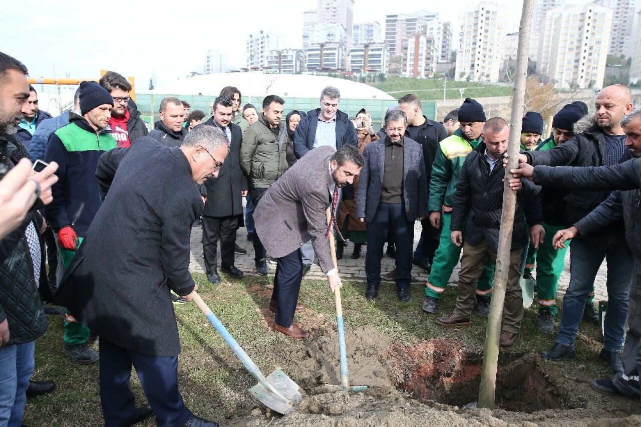 60’ıncı yıla 600 ağaç