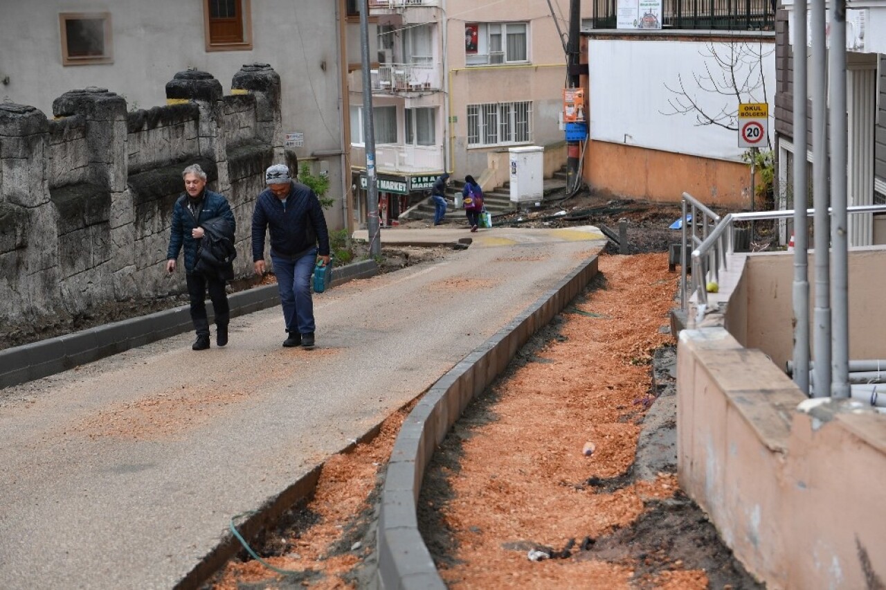 Çekirgeliler geniş kaldırımlarda yürüyecek