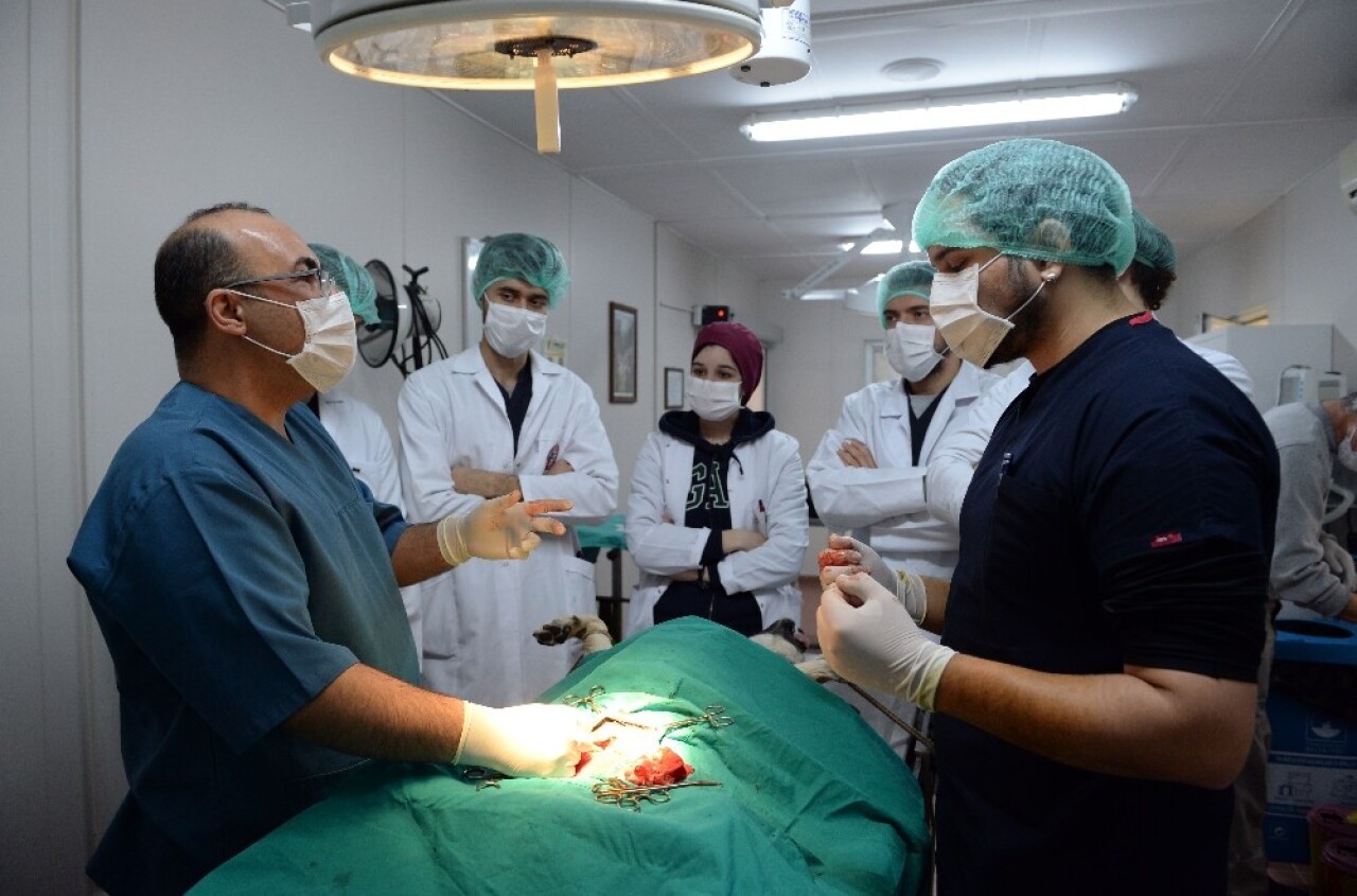 Geleceğin veterinerler hekimleri Osmangazi’de yetişiyor