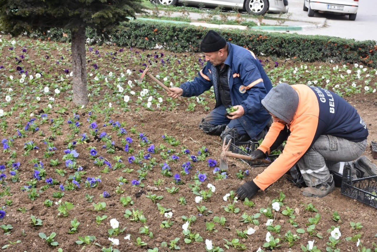 Gemlik yeşilleniyor