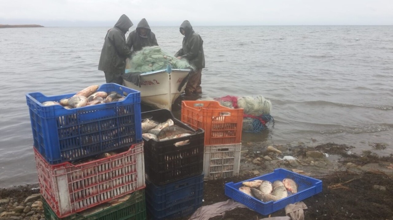 İznik gölü, nesli tükenen "kepekleme" balığı kaynıyor