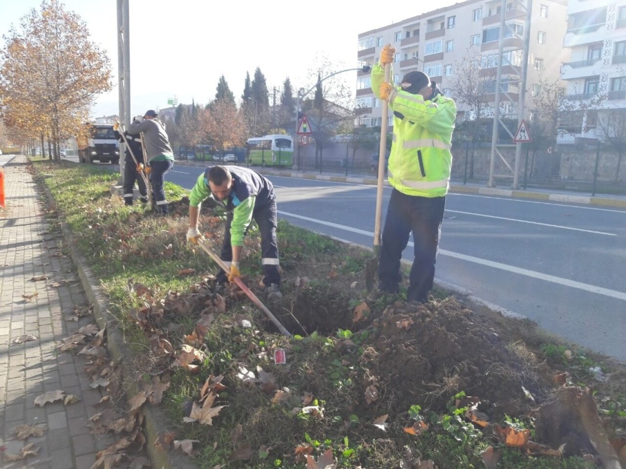 Kocaeli’de yol kenarlarındaki boş alanlar ağaçlandırılıyor