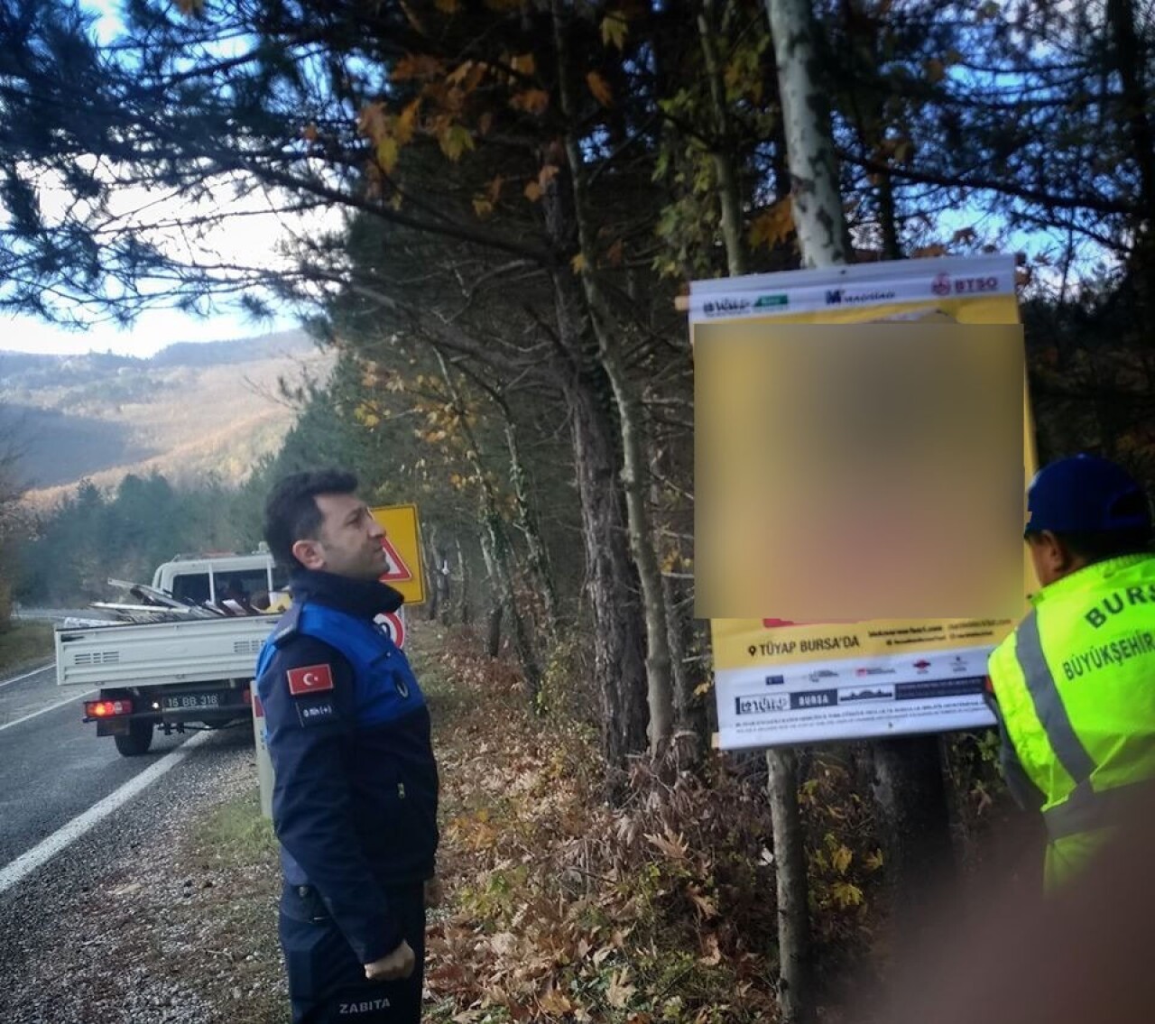 Reklam için ağaçlara çivi çaktılar