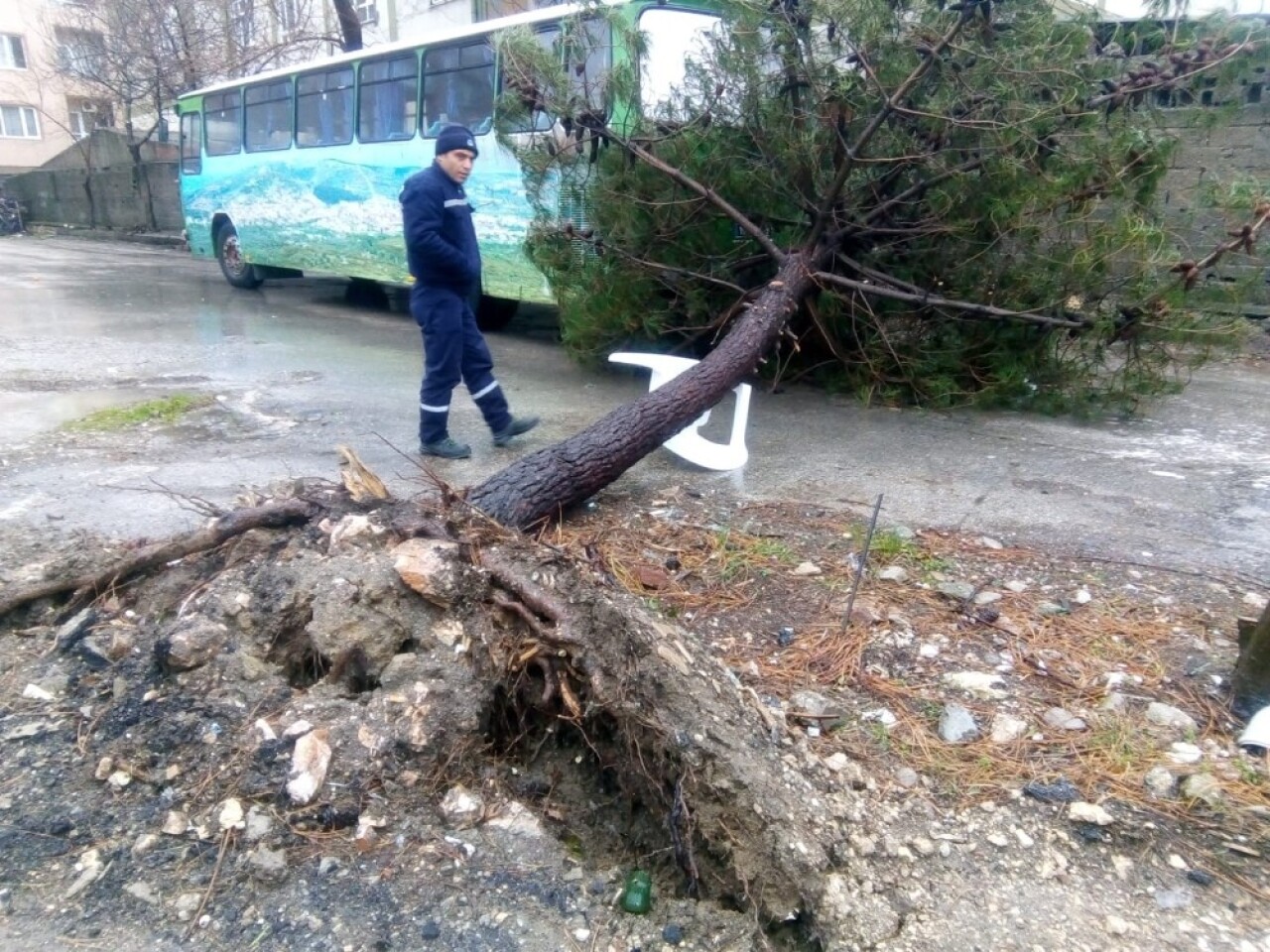 Bandırma’da şiddetli fırtınanın yaraları sarılıyor