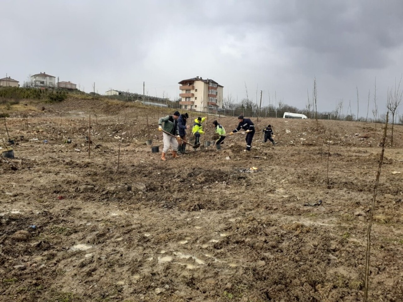 Kandıra kent ormanı ağaçlandırılıyor