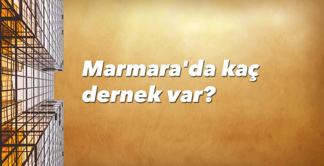 Marmara'da kaç dernek var?