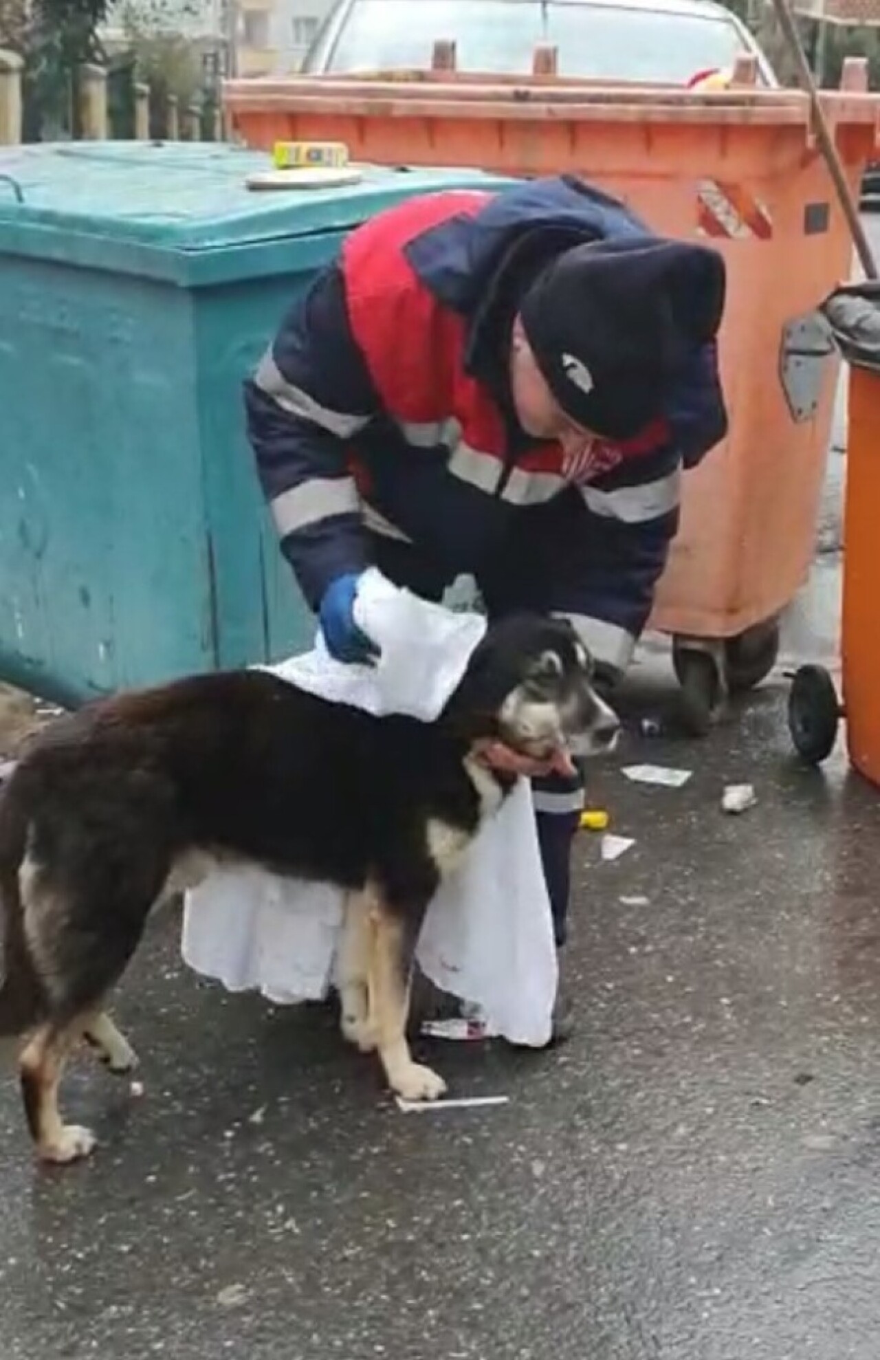 (Özel) Temizlik işçisi yağmurdan ıslanan köpeği kuruladı, içleri ısıttı