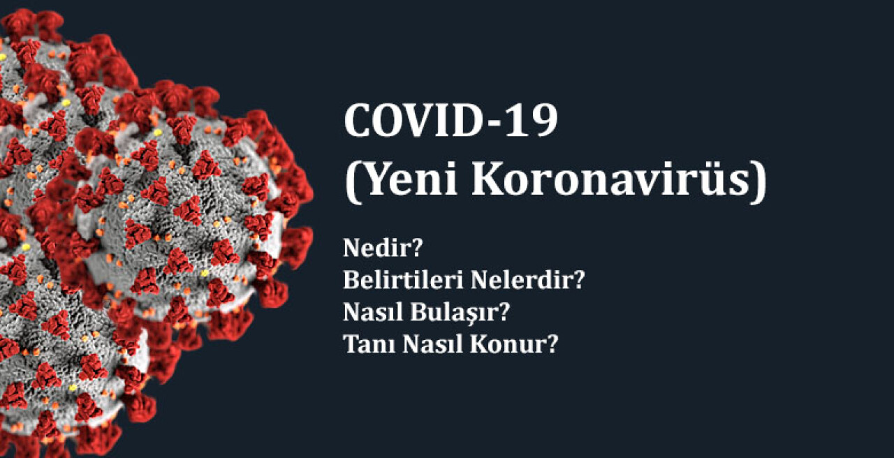 COVID-19 Nedir?