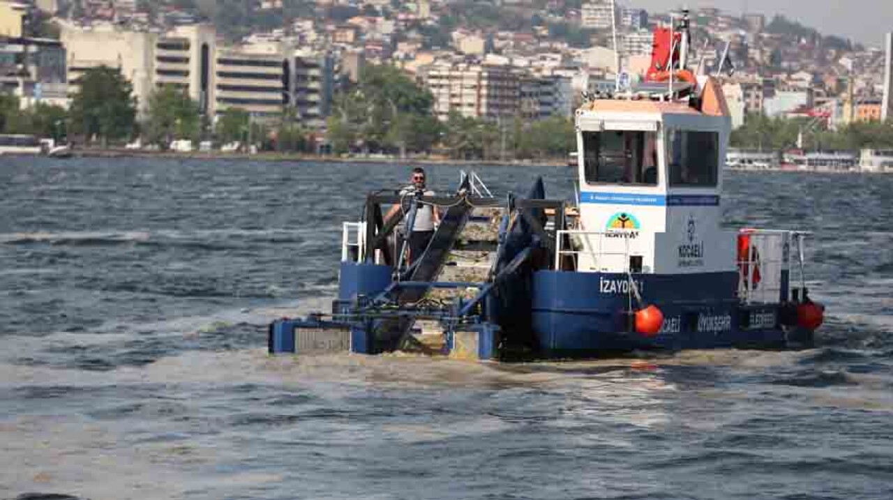 İzmit Körfezi’nde 38 günde 100 ton deniz salyası toplandı