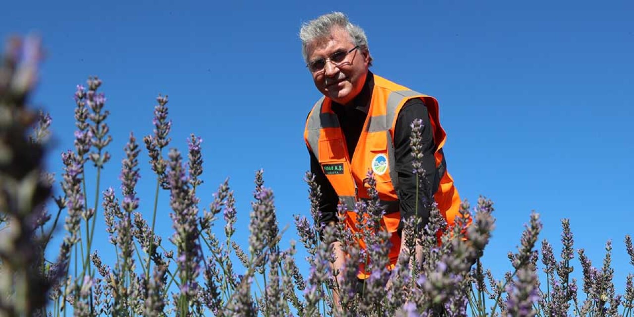 'Lavanta, kekik, ıhlamur balı ve özel aromatik ballar üreteceğiz'