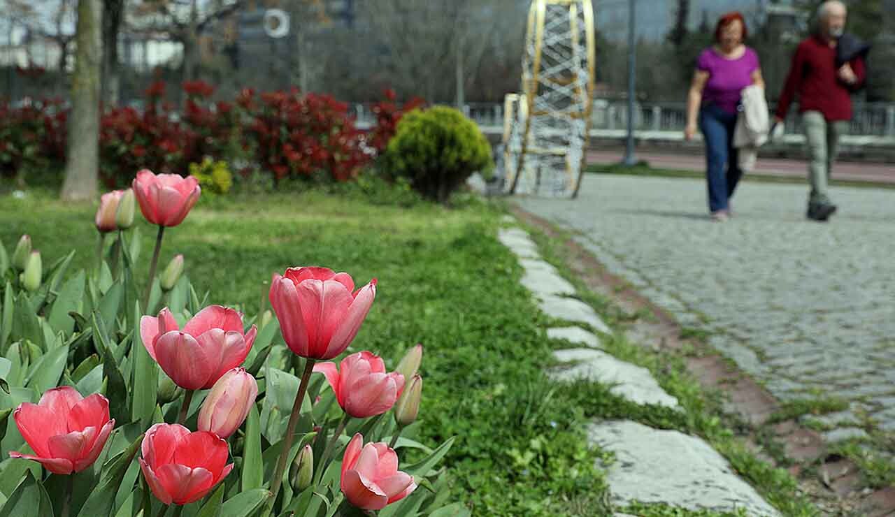 Yeşil Vadi, Lale Mevsiminde Her Rengi Barındırıyor