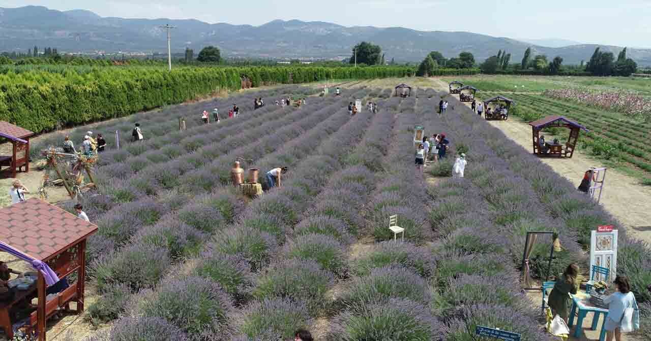 4. Aromaterapi Festivali renkli başladı