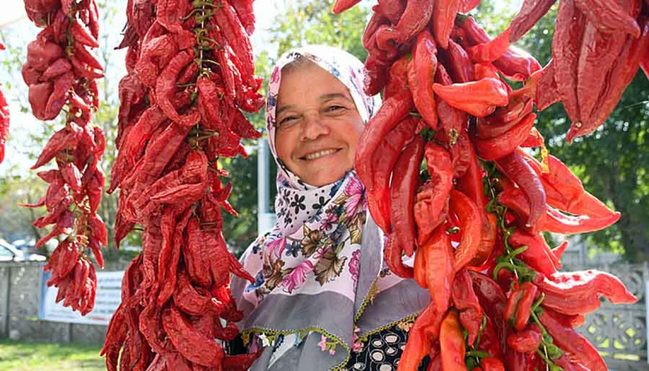 Silivri’nin En İyi Pul Biber Üreticisi Belli Oldu