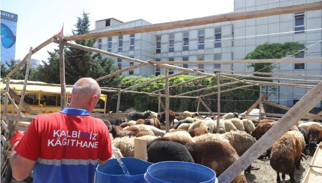 Kurbanlıklar Pazar Yerlerinde Alıcıları Bekliyor