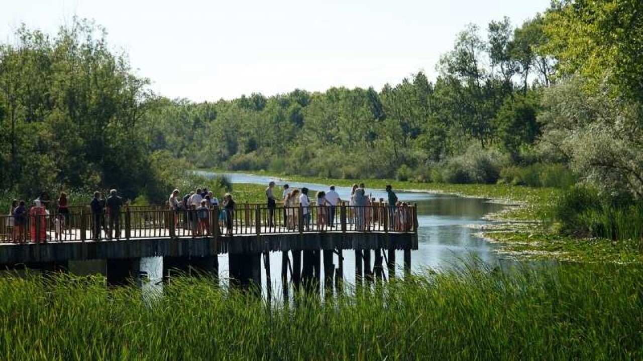 Doğal cennet Acarlar Longozu yaz sezonunda turizmin gözdesi oldu