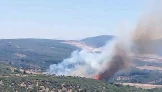 İzmir’de orman yangınına havadan ve karadan müdahale