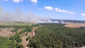 Çanakkale’de tarım arazisinde başlayan yangın ormana sıçradı
