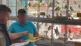 Çanakkale’de petshop denetimi