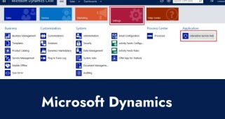 Microsoft Dynamics