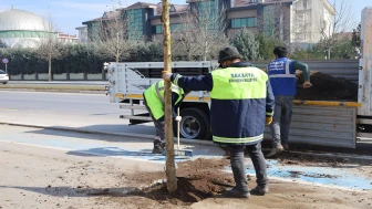 Sakarya Büyükşehir ‘Yeşil’ Dokunuşla Şehrin Çehresini Değiştiriyor