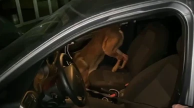 Polis uyuşturucuya geçit vermiyor: 2 ilçede 7 şüpheli gözaltına alındı