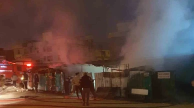 Çiftlik, alevlere teslim oldu