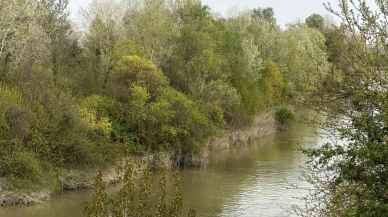 Sakarya Nehri’ne düşen çocuk didik didik aranıyor