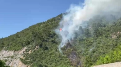 Bursa’da ormanlık alanda yangın