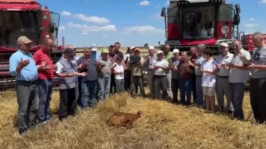 Edirne’de buğday hasadı dualarla başladı