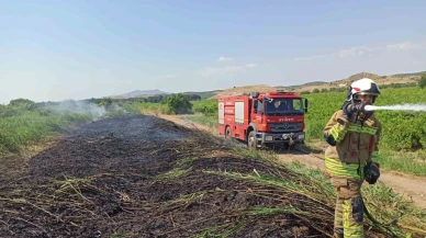 Aşırı sıcaklar Manisa’yı ateş çemberine çevirdi