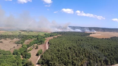 Çanakkale’de tarım arazisinde başlayan yangın ormana sıçradı