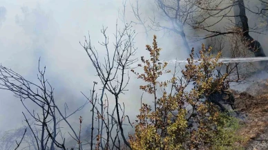 Bursa’da piknik alanı yakınındaki yangın korkuttu