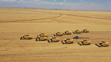 Dünyanın en büyük tarım arazisinde 238 biçerdöver ile hasat