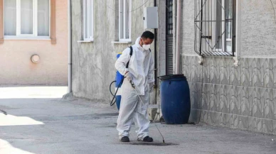 Osmangazi Belediyesi’nden haşereye karşı anında müdahale