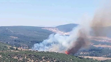 İzmir’de orman yangınına havadan ve karadan müdahale