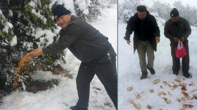 Kaynarca Orman Bölge, aç kalan yaban hayvanlarını unutmadı