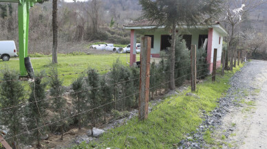 Sapanca Akçay Mahallesinde peyzaj çalışmaları sürüyor